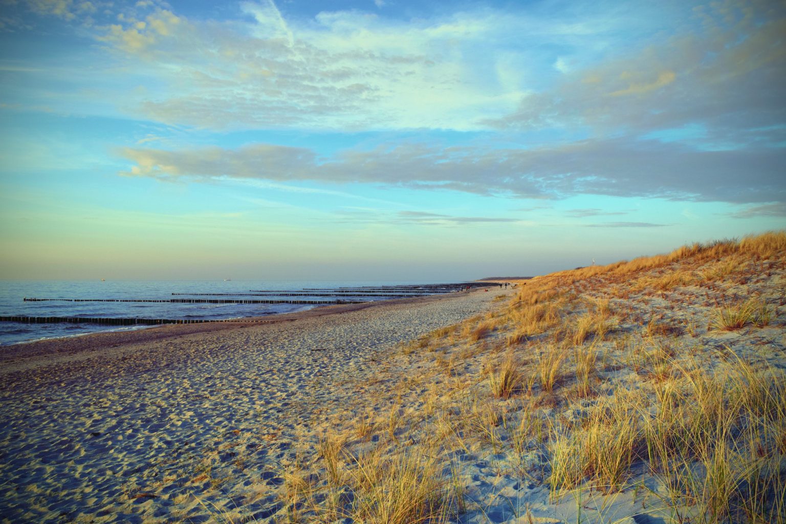 Ostseebad Markgrafenheide Urlaub in der Rostocker Heide